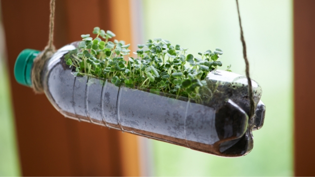 Reuse Program